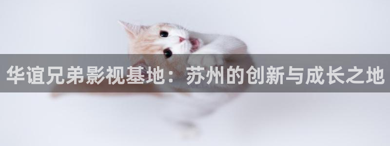 红樱桃影院电视剧在线播放免费观看高清：华谊兄弟影视基地：苏州的创新与成长之地